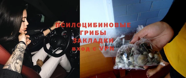 индика Верхний Тагил