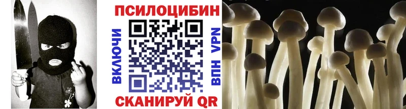 как найти   Кингисепп  Псилоцибиновые грибы MAGIC MUSHROOMS 
